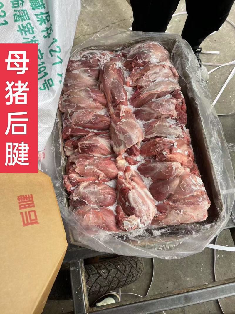 工厂直销，母猪腱子肉齐全，手续齐全，需要随时电话联系
