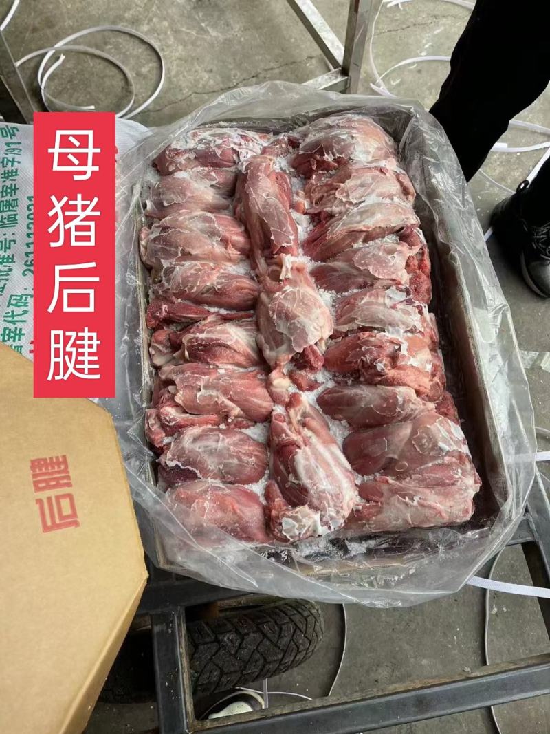 工厂直销，母猪腱子肉齐全，手续齐全，需要随时电话联系