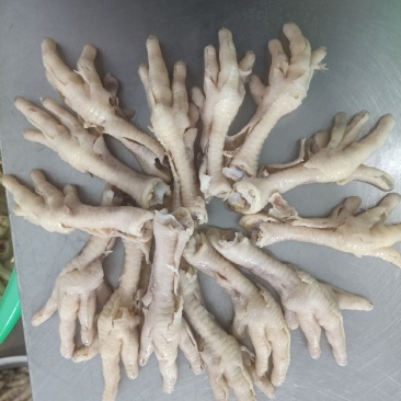 新鲜无骨鸡爪去骨鸡爪货源充足厂家直供饭店卤菜店