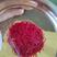 进口伊朗藏红花，特级藏红花，品质保证，买5送