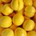 【现摘现发】山东蒙阴黄金油桃，大量现货脆甜无酸，对接全国