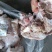 工厂直销：肥猪去骨猪头肉，新货，全国发货，品质放心