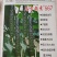 耐热黃瓜种子冬方领秀567越夏茬高温期种植抗病毒