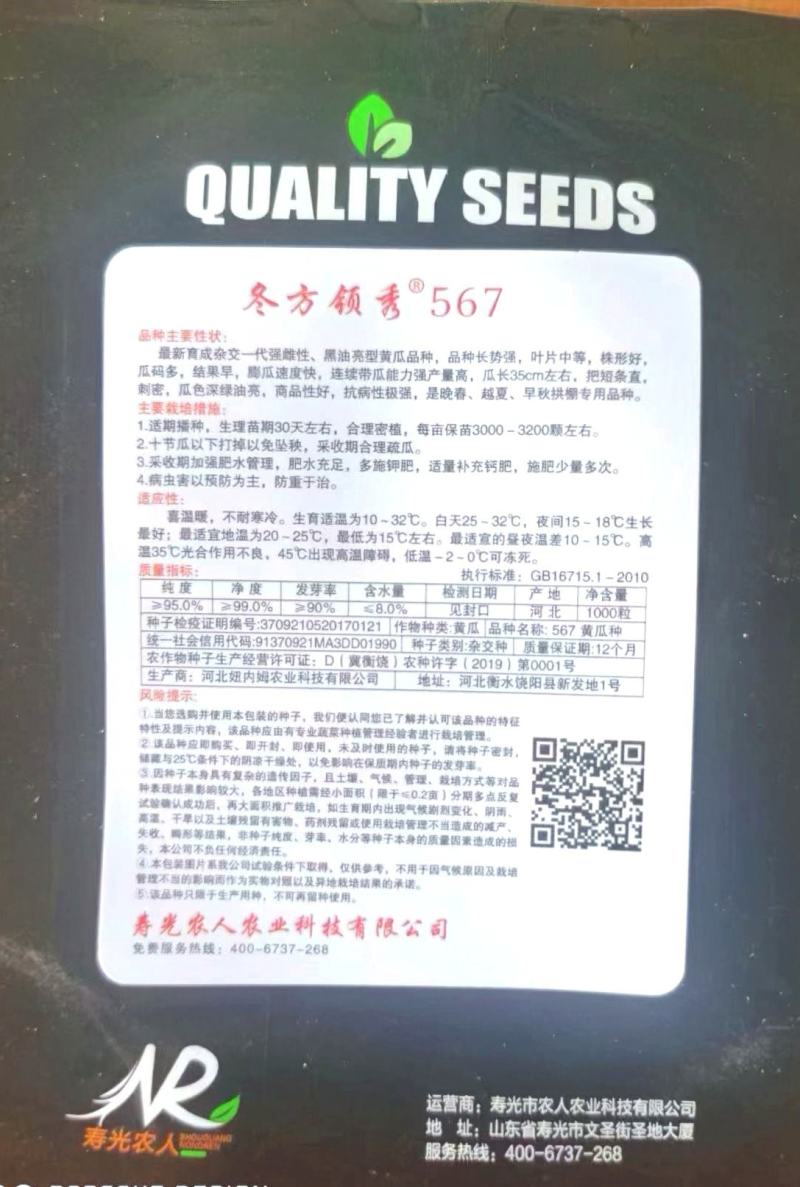 耐热黃瓜种子冬方领秀567越夏茬高温期种植抗病毒