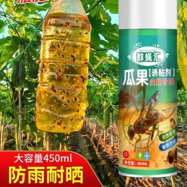 得刚瓜果实蝇诱粘剂果园迷昆虫诱捕器粘胶板向丝果蝇药针蜂引