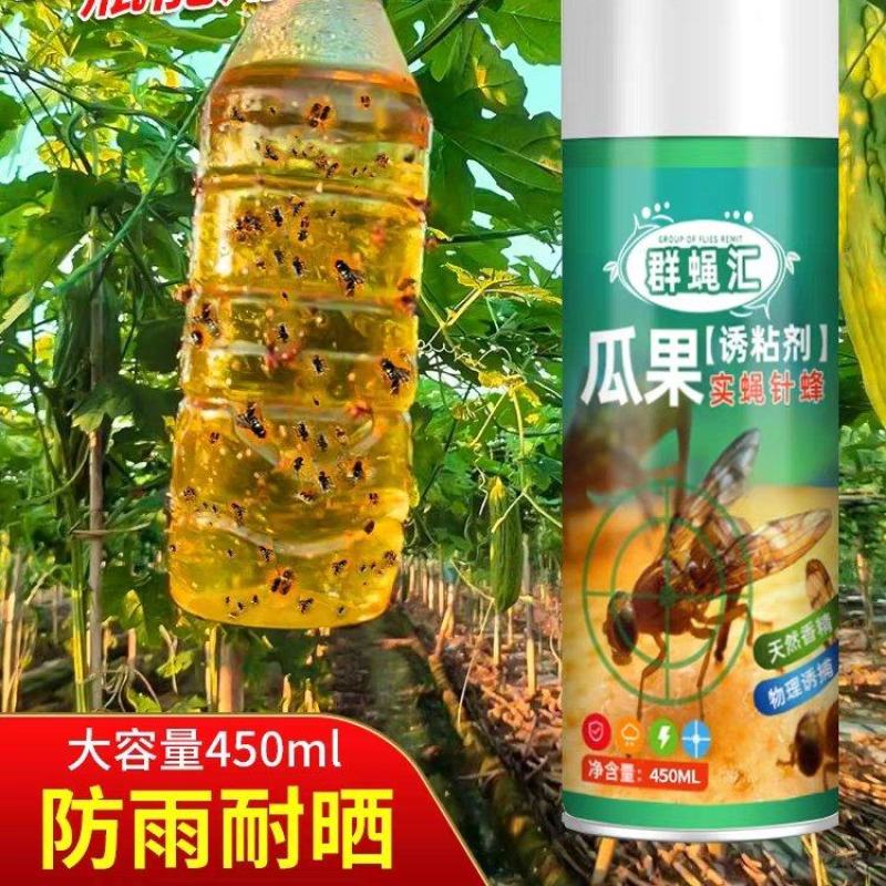 得刚瓜果实蝇诱粘剂果园迷昆虫诱捕器粘胶板向丝果蝇药针蜂引