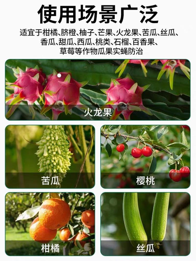 得刚瓜果实蝇诱粘剂果园迷昆虫诱捕器粘胶板向丝果蝇药针蜂引