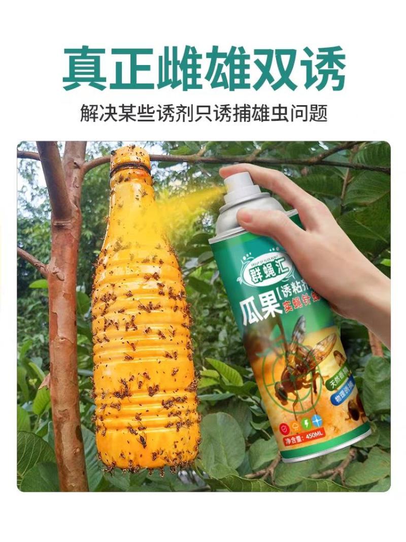 得刚瓜果实蝇诱粘剂果园迷昆虫诱捕器粘胶板向丝果蝇药针蜂引