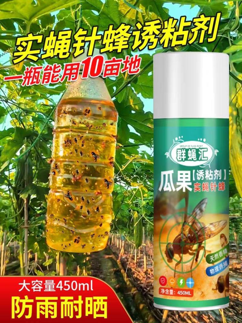 得刚瓜果实蝇诱粘剂果园迷昆虫诱捕器粘胶板向丝果蝇药针蜂引