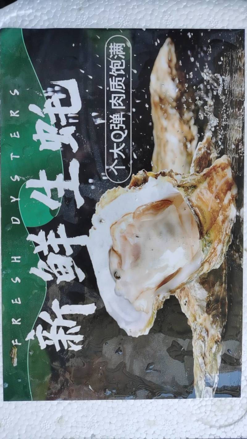 福建一口生蚝，网红小包装，承接电商社区团购