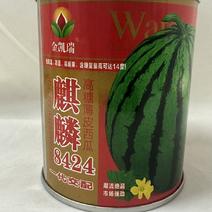 大果麒麟8424西瓜种籽早熟高产南方新品种薄皮脆甜西瓜水