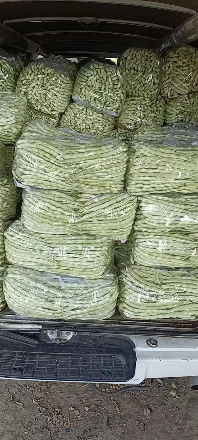 芸豆万亩蔬菜基地保质保量一手货源视频看货