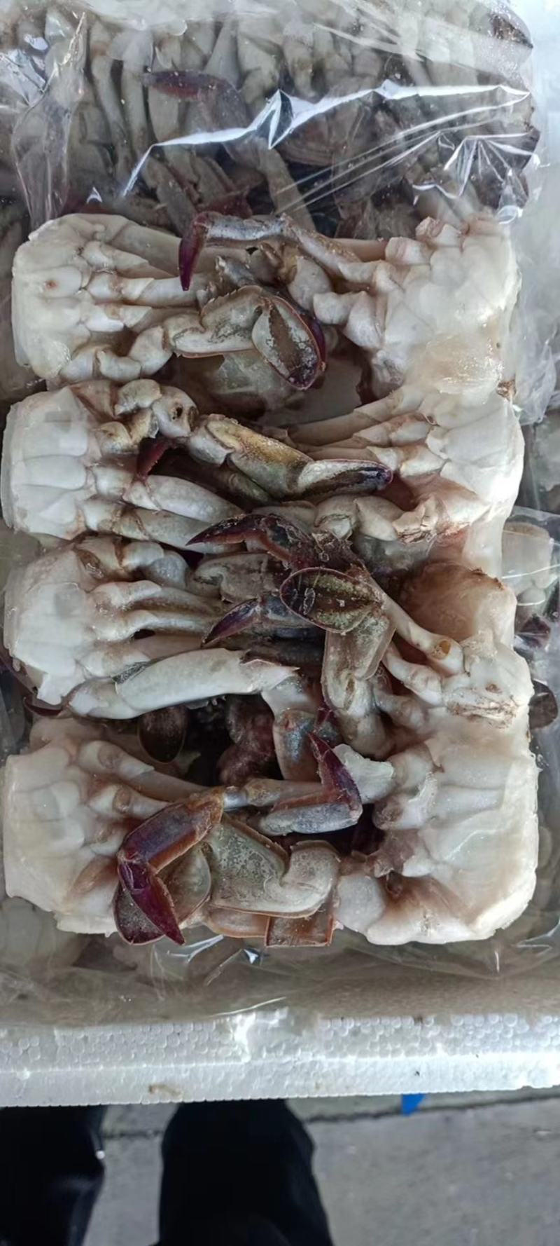 切蟹，价格便宜，品质保证，货源充足，欢迎咨询