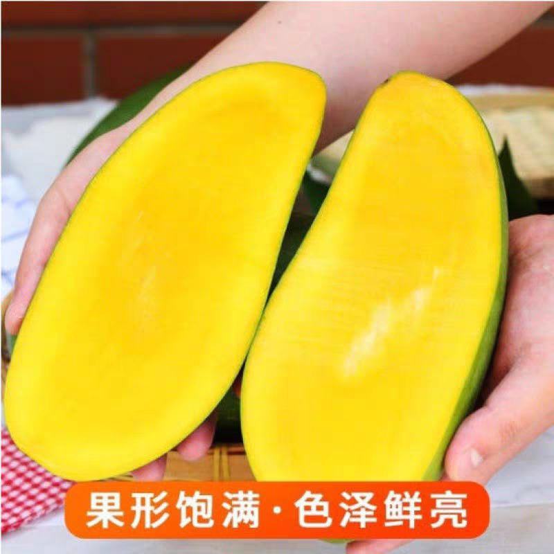 云南西双版纳大青芒金煌芒热带水果一件代发产地直发9斤大果