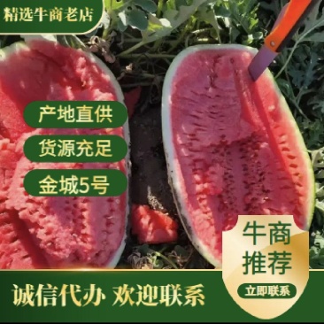 新疆西瓜吐鲁番火焰山西瓜金城五号安农二号产地直发