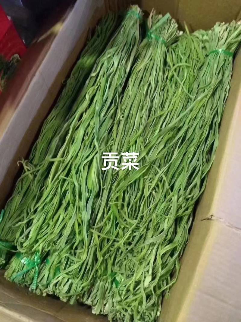 【精品】贡菜质量保证诚信为本对接全国电商商超市场