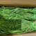 【精品】贡菜质量保证诚信为本对接全国电商商超市场