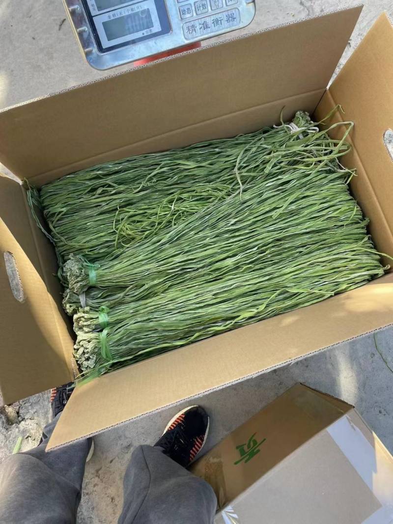 【精品】贡菜质量保证诚信为本对接全国电商商超市场