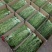 【精品】贡菜质量保证诚信为本对接全国电商商超市场