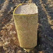 草业