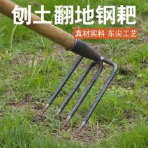 赶海钢铁耙子松土扒农用工具大全耙锄头犁地二齿种地园艺蛤蜊