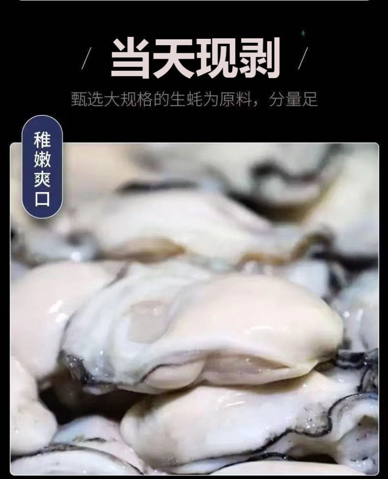 鲜活生蚝现剥生蚝肉去壳海蛎子肉牡蛎肉火锅烧烤海蛎煎肉批发