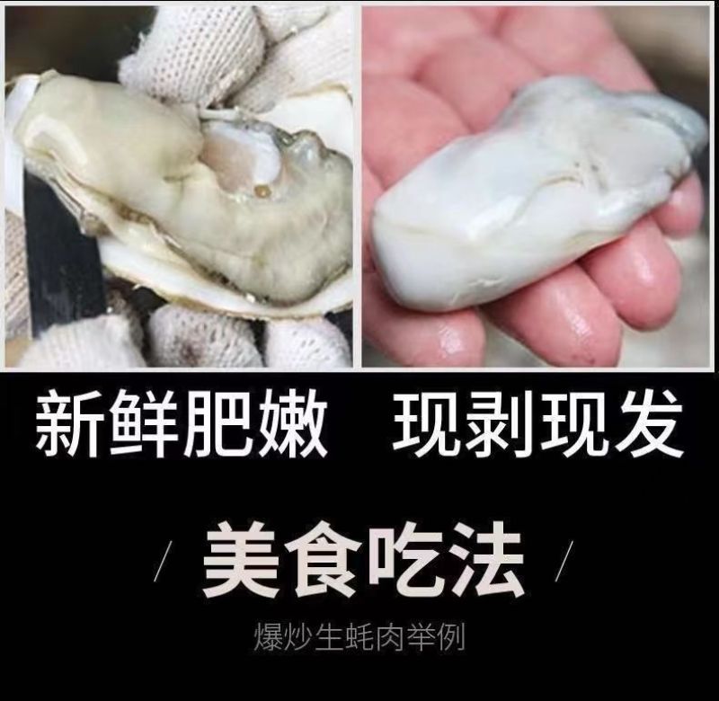 鲜活生蚝现剥生蚝肉去壳海蛎子肉牡蛎肉火锅烧烤海蛎煎肉批发