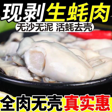 去壳生蚝现剥生蚝肉海蛎子肉牡蛎肉火锅烧烤海蛎煎肉原浆肉