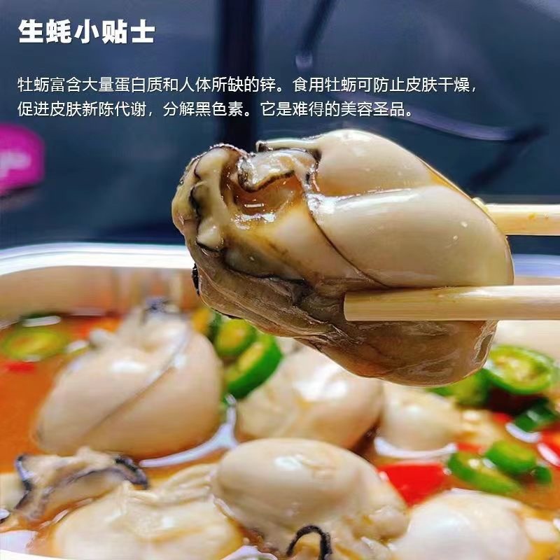 去壳生蚝现剥生蚝肉海蛎子肉牡蛎肉火锅烧烤海蛎煎肉原浆肉