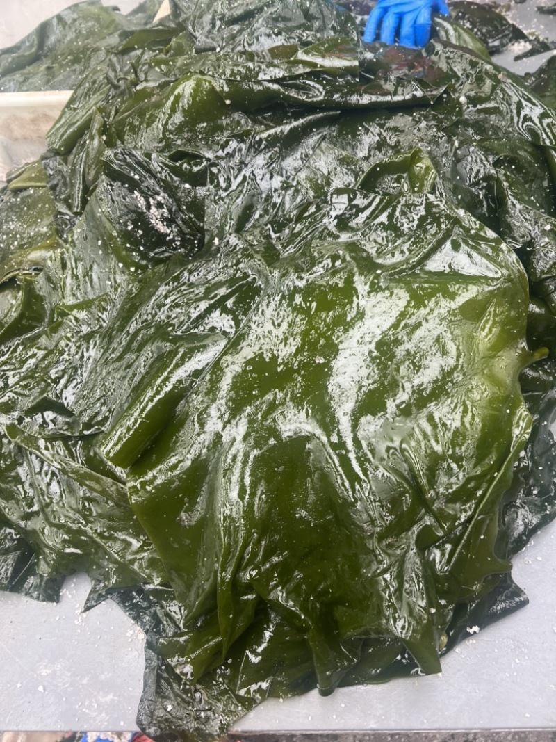 荣成盐溃海带小头1箱净重5斤16元鲜嫩爽口，味道非常不错。