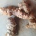 广西野生土茯苓白肉粉质/手工切片/精心挑选欢迎电联采购