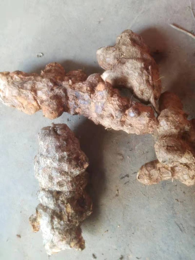 广西野生土茯苓白肉粉质/手工切片/精心挑选欢迎电联采购