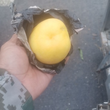 桃
