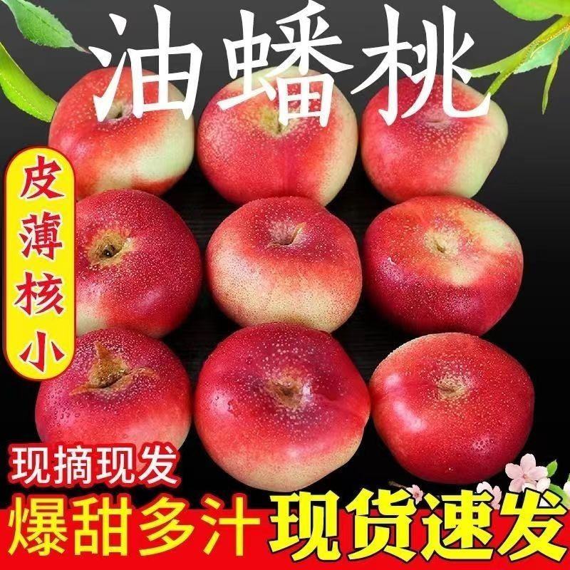 河北油蟠桃大量上市了[口感脆甜]产地直供.大量有货