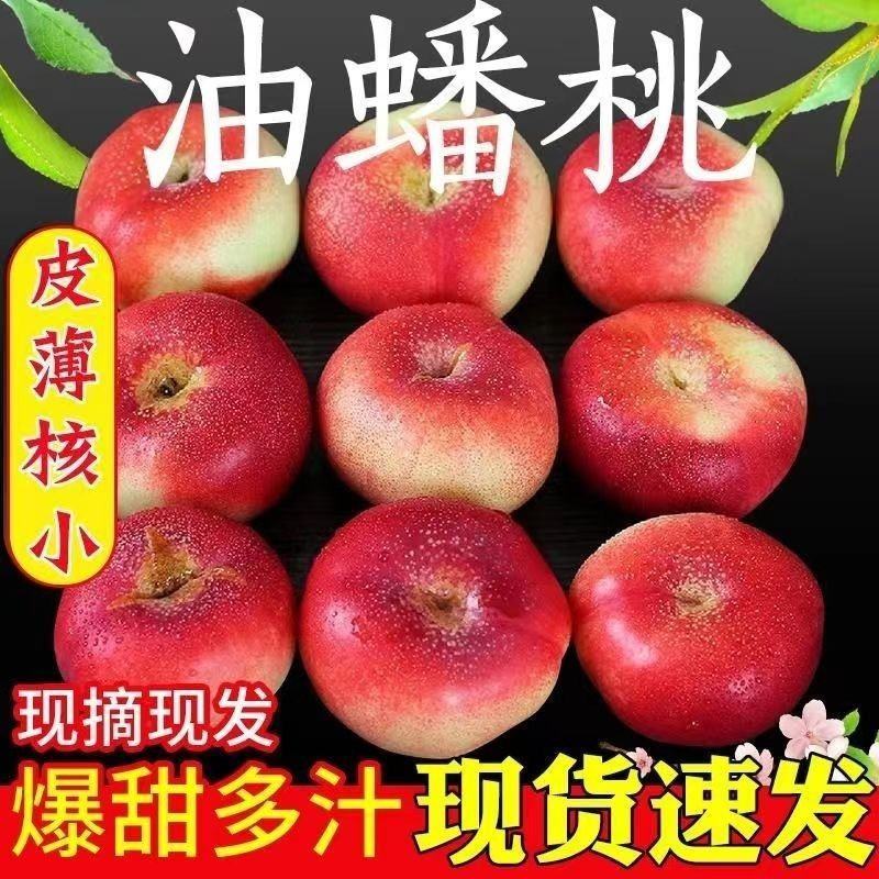 河北油蟠桃大量上市了[口感脆甜]产地直供.大量有货