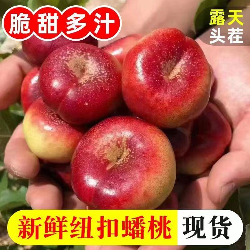 河北油蟠桃大量上市了[口感脆甜]产地直供.大量有货