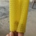 水果网套农产品网套