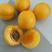 山东珍珠油杏，现摘现发，脆甜可口，好吃不贵