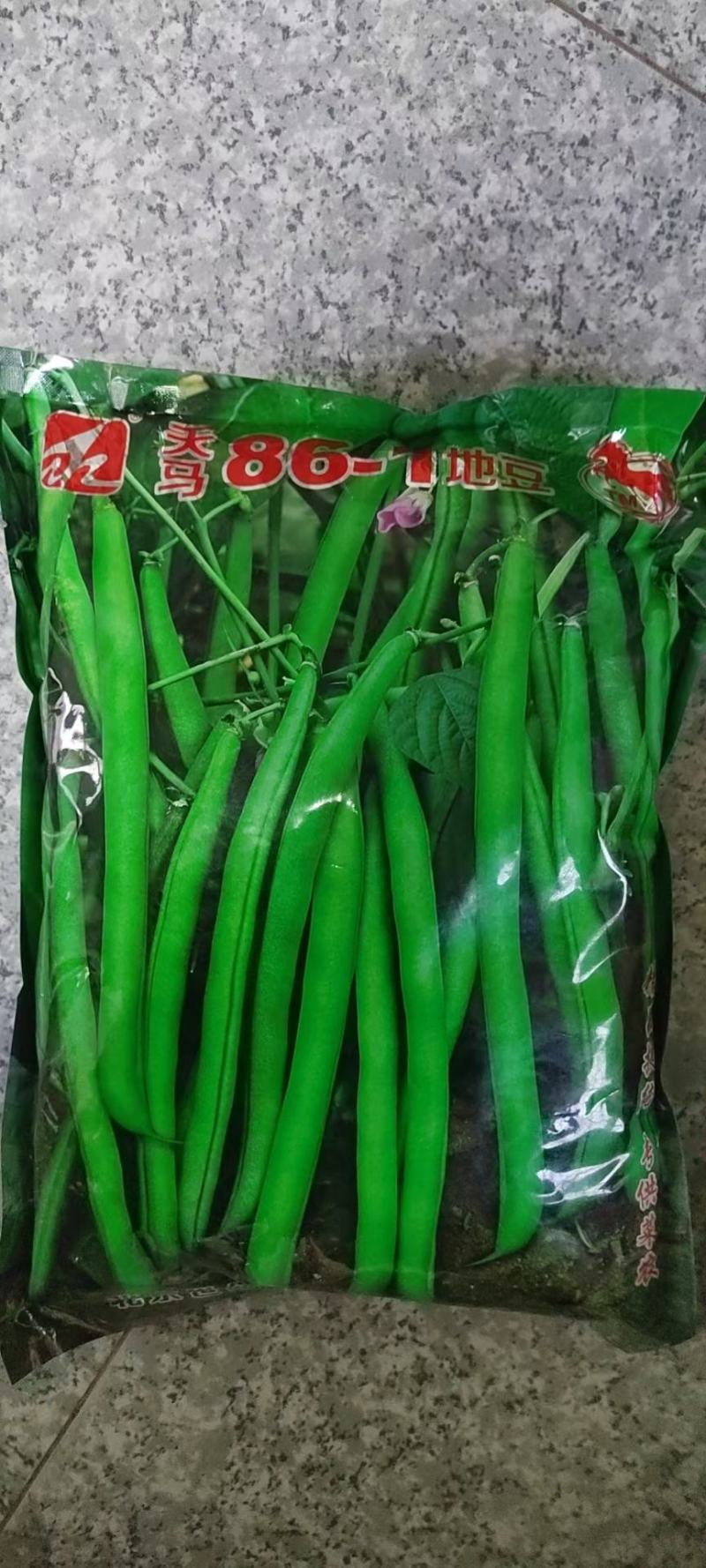 青刀豆大量上市，供应各大加工厂！市场等！有需要的联系我！