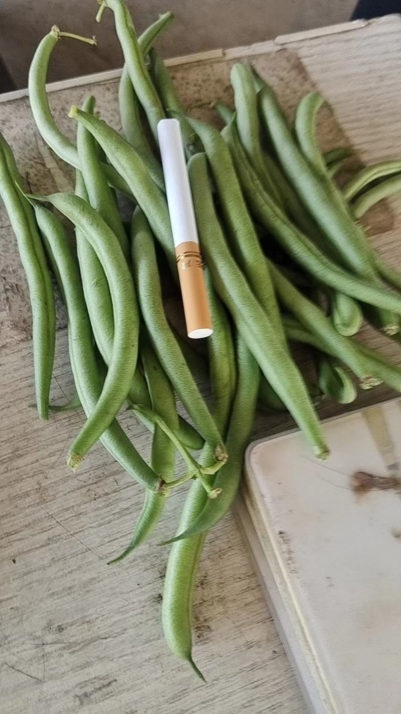 青刀豆大量上市，供应各大加工厂！市场等！有需要的联系我！