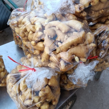 面姜常年供应山东沂水面姜泡沫箱小包货
