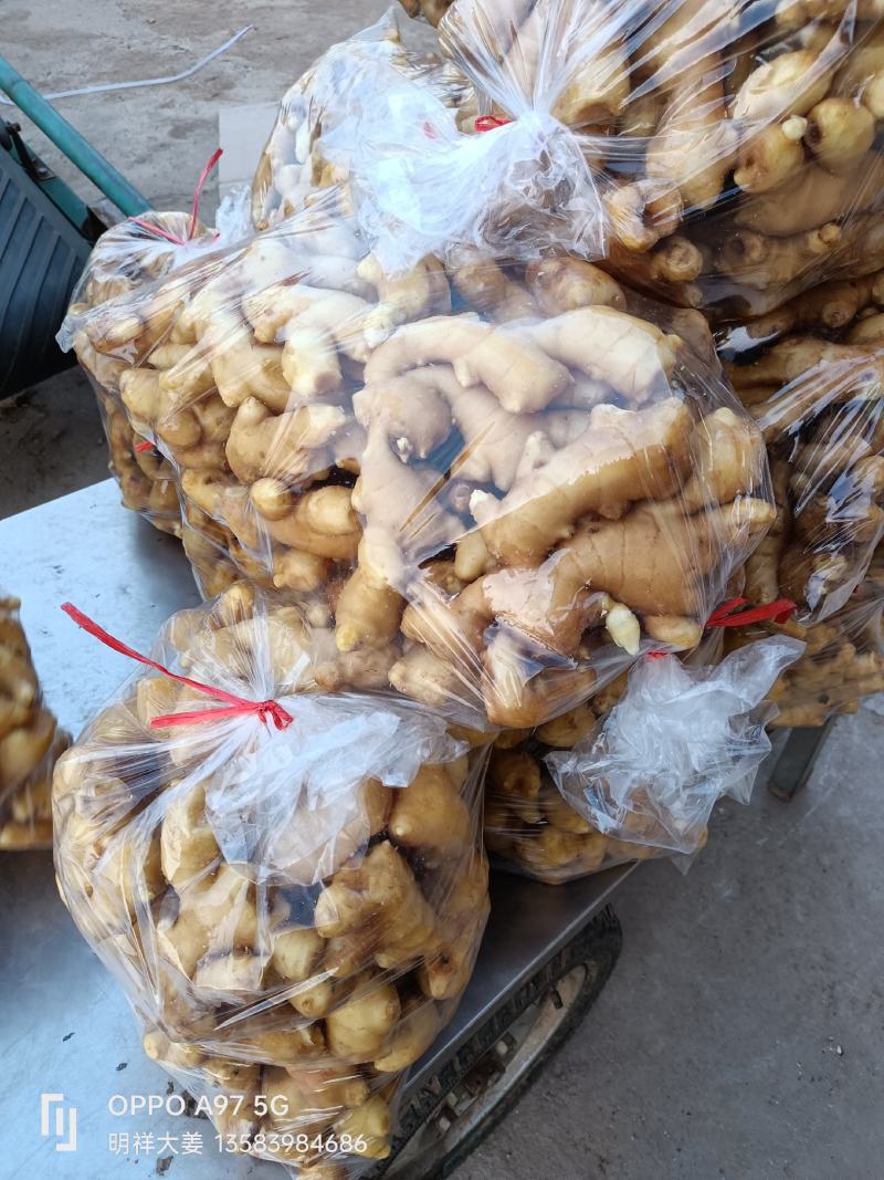 面姜常年供应山东沂水面姜泡沫箱小包货