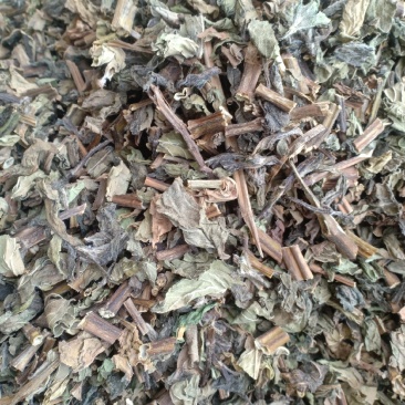 薄荷新货货干味大产地山东有现货实拍24小时发货