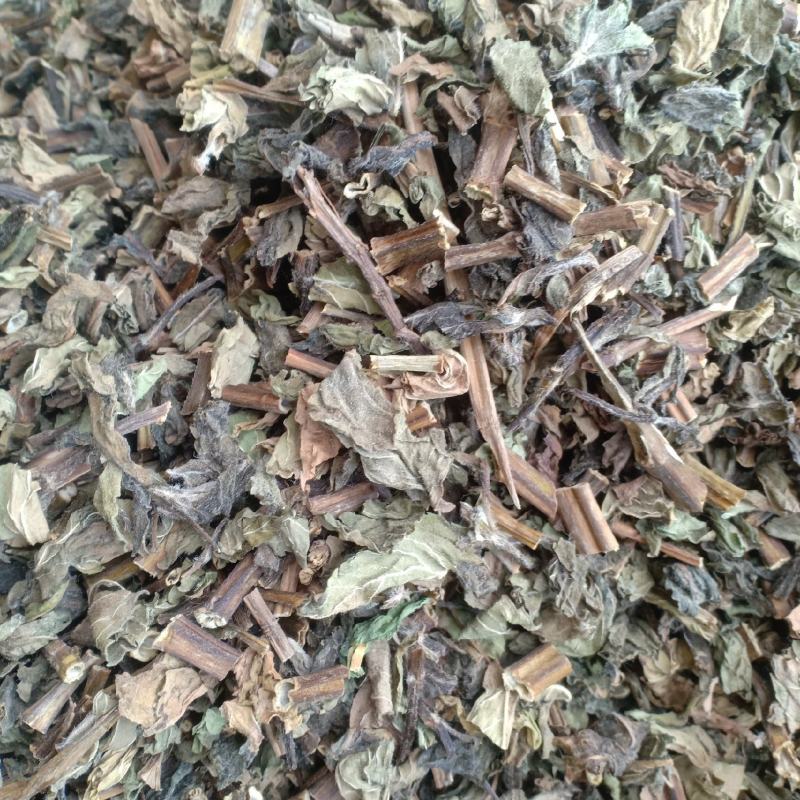 薄荷新货货干味大产地山东有现货实拍24小时发货