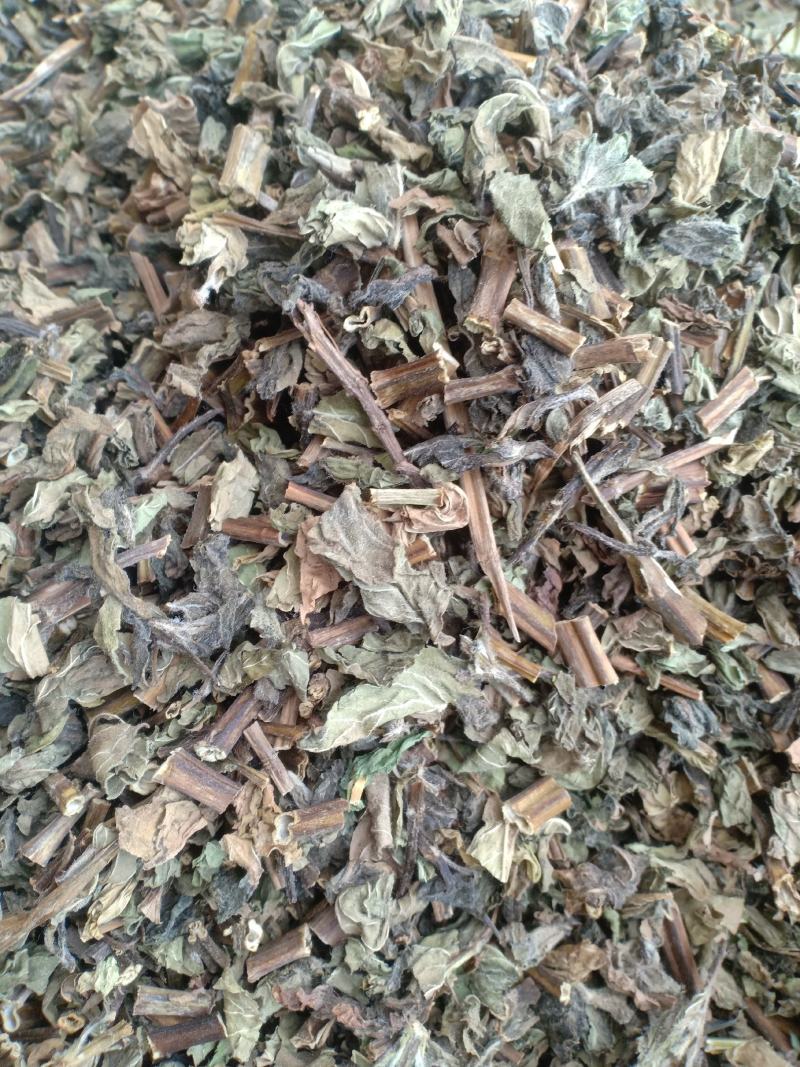 薄荷新货货干味大产地山东有现货实拍24小时发货