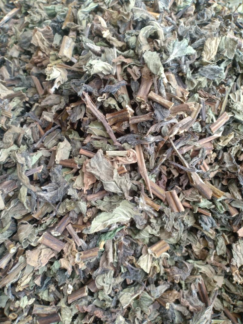 薄荷新货货干味大产地山东有现货实拍24小时发货