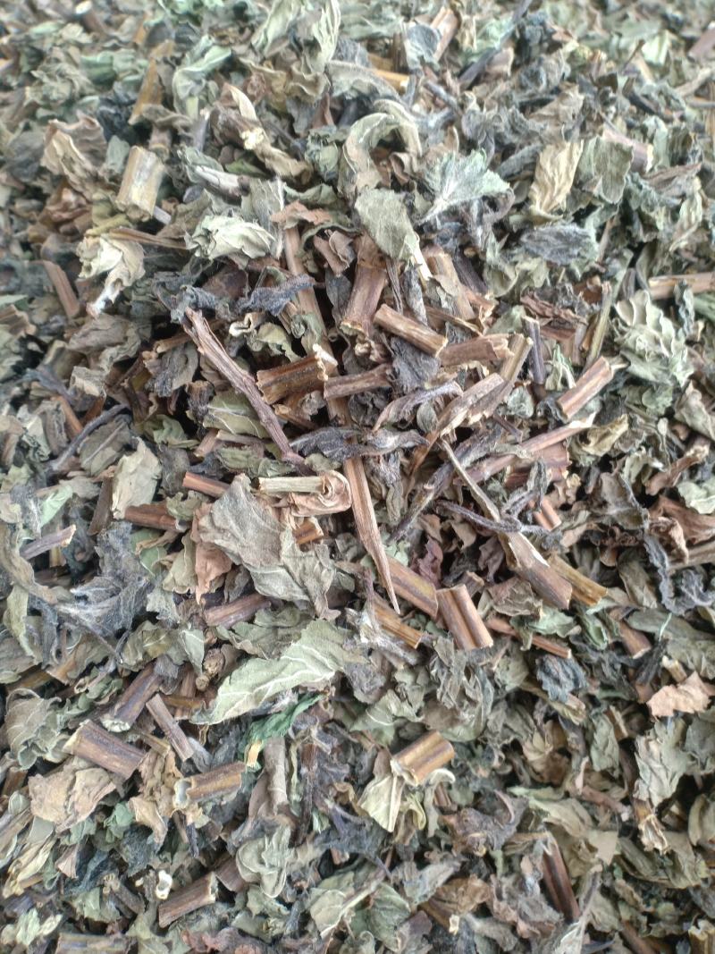 薄荷新货货干味大产地山东有现货实拍24小时发货