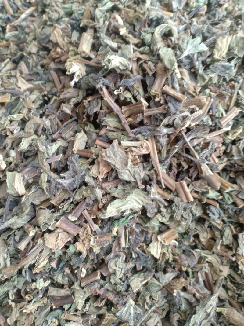 薄荷新货货干味大产地山东有现货实拍24小时发货