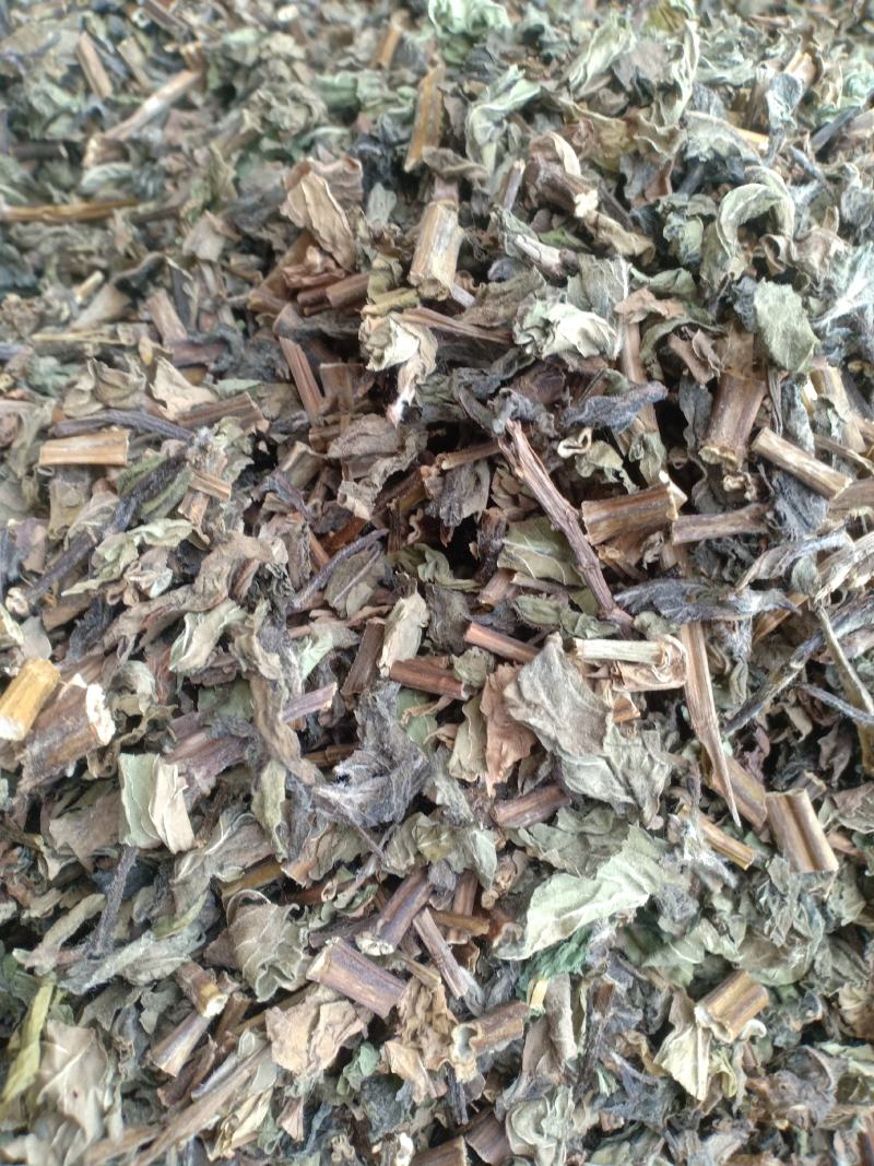 薄荷新货货干味大产地山东有现货实拍24小时发货