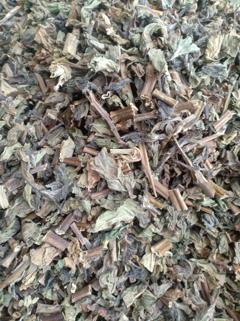 薄荷新货货干味大产地山东有现货实拍24小时发货